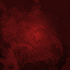 Paint Texture 4