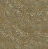 Gold Metallic Texture 2