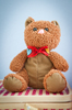 Teddy Bear 1