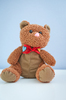 Teddy Bear 3