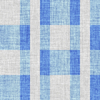 Vintage Gingham 1