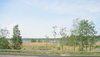 Lake by the road