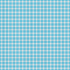 Blue Gingham 2