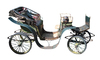 Carriage