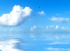 Waterscape
