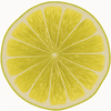 Lemon Slice