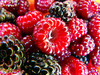 Raspberry