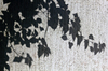 Vine Shadow