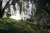 Serenity