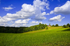 French hills II