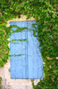 Blue shutters