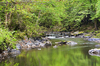 French stream