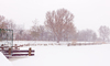Dutch winter scene