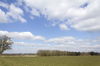 Farm landscape