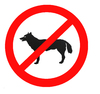 No dogs allowed