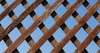 Wood Lattice