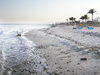 Evening sea
