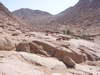 Mount Sinai area