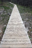 Boardwalk