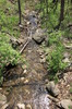 Stream