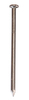 Galvanized Nail