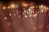 Abstract Light Background 2