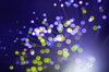 Abstract Light Background 9
