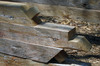 Timber Construction