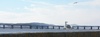 Tay Rail Bridge and gull