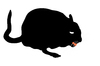 Gerbil eating