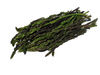 wild asparagus