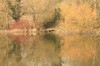 Norfolk Broads reflection