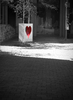 Heart of the city