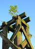 pilings