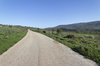Open road