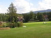 Field