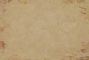 Decorated Parchment 4
