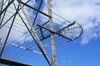 Barbed wire