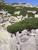 Polish mountains