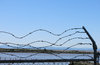 fence