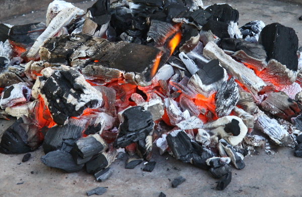 Free stock photos - Rgbstock -Free stock images | Burning ash | gesinek ...