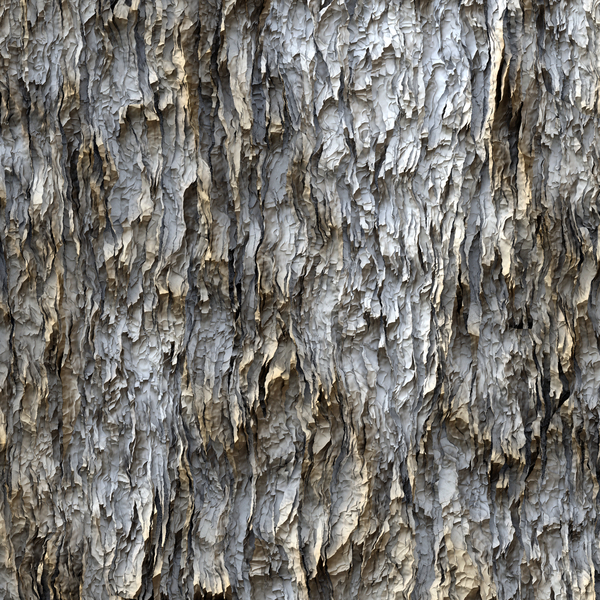 Tree Bark 1