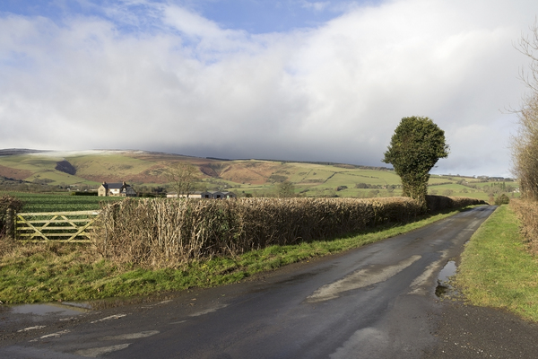 Free stock photos - Rgbstock - Free stock images | Rural lane in winter ...